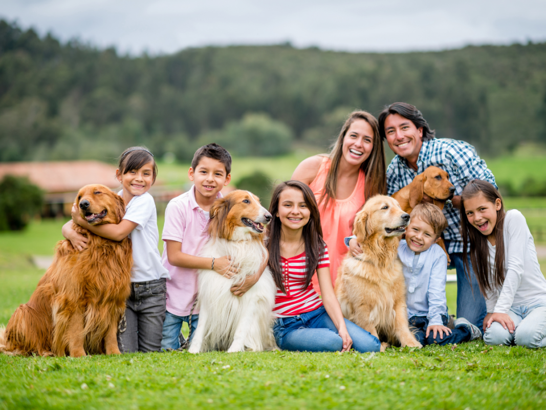 family